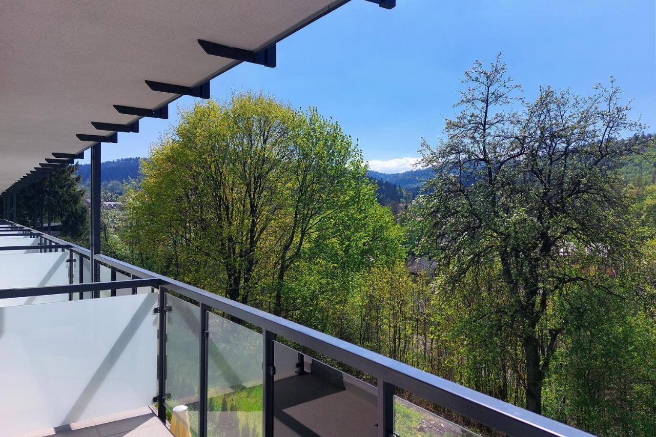 Hotel Jarzebata Visla Exteriér fotografie